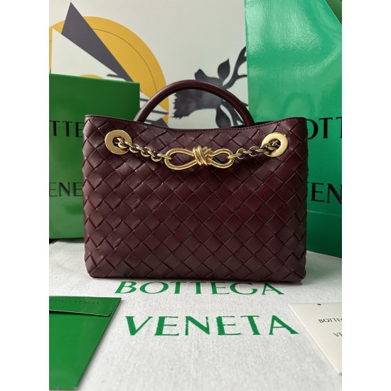 BOTTEGA VENETA Small Andiamo handbag