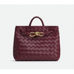 BOTTEGA VENETA Small Andiamo handbag