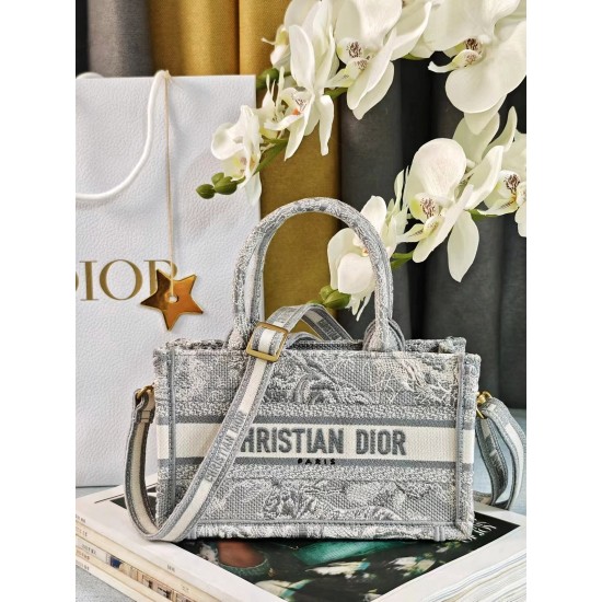 DIOR Mini Book Tote handbag