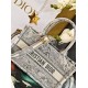 DIOR Mini Book Tote handbag