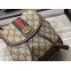 GUCCI Ophidia series mini backpack