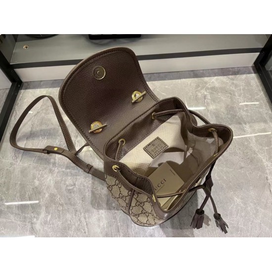 GUCCI Ophidia series mini backpack