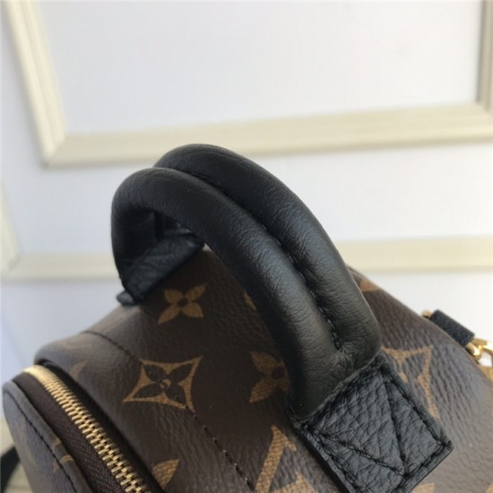 Louis Vuitton Monogram Palm Springs Backpack Mini