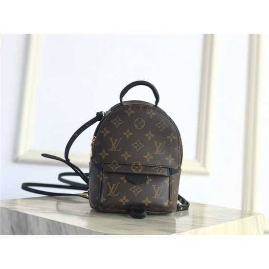 Louis Vuitton Monogram Palm Springs Backpack Mini