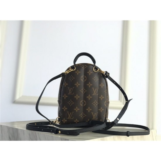 Louis Vuitton Monogram Palm Springs Backpack Mini