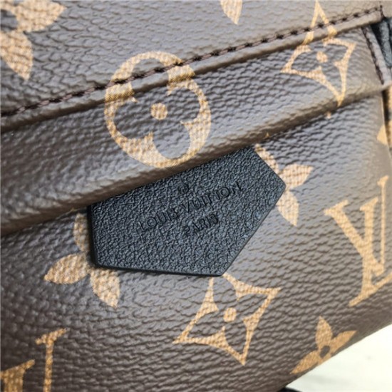 Louis Vuitton Monogram Palm Springs Backpack Mini