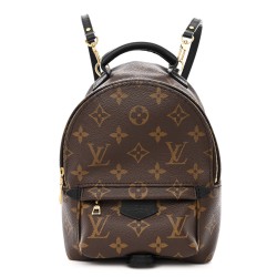 Louis Vuitton Monogram Palm Springs Backpack Mini