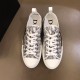 Dior B23 Low Top 'Logo Oblique' 