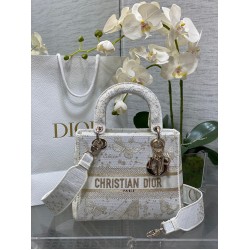 Dior lady d-lite